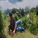 تصویر کاربر با کد 1187816