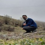 تصویر کاربر با کد 1191154