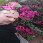 تصویر کاربر با کد 431617