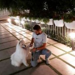 تصویر پروفایل شهریار