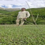 تصویر کاربر با کد 1196397