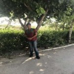 تصویر پروفایل علیرضا