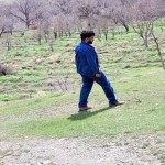 تصویر پروفایل بهزاد