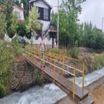 تصویر کاربر با کد 1206392