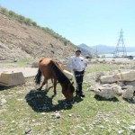 تصویر کاربر با کد 1206903