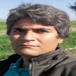 تصویر پروفایل سیاوش