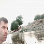 تصویر پروفایل آریو