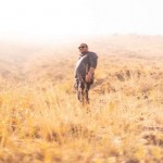 تصویر پروفایل مهدی