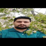 تصویر پروفایل پدرام