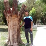 تصویر پروفایل پدرام
