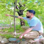تصویر پروفایل هادی