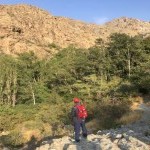 تصویر پروفایل مهدی