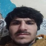 تصویر پروفایل مجتبی