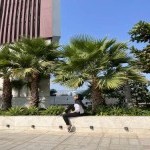 تصویر پروفایل محیا