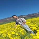 تصویر پروفایل مهدی