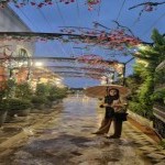 تصویر پروفایل مهسا