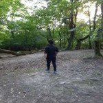 تصویر پروفایل امیران