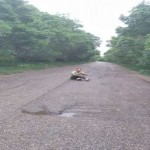 تصویر پروفایل سعید