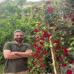 تصویر پروفایل محمد