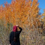 تصویر پروفایل بهار