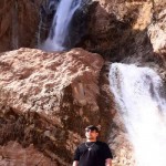 تصویر پروفایل همایون