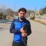 تصویر پروفایل دانیال