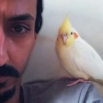 تصویر پروفایل حمیدرضا