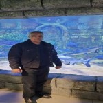 تصویر پروفایل علیرضا