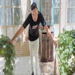 تصویر پروفایل عرفان امیری