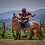 تصویر پروفایل منوچهر