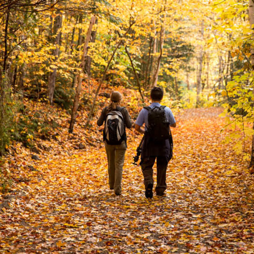 همسرگزینی بهترین همسر است