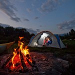 سایت همسریابی بهترین همسرگزینی آنلاین